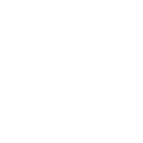 Auto Detailing
