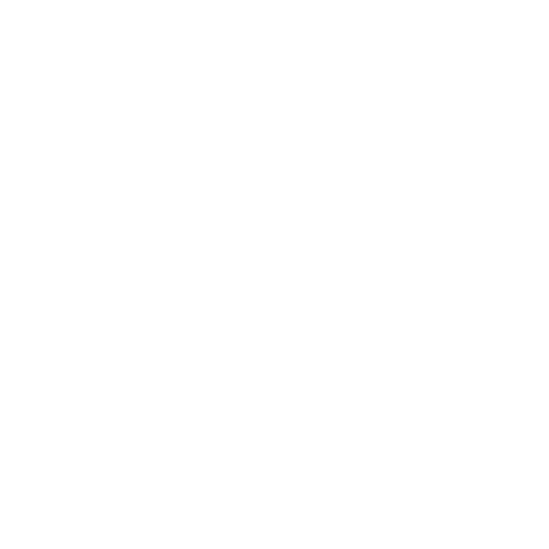 Window Tinting